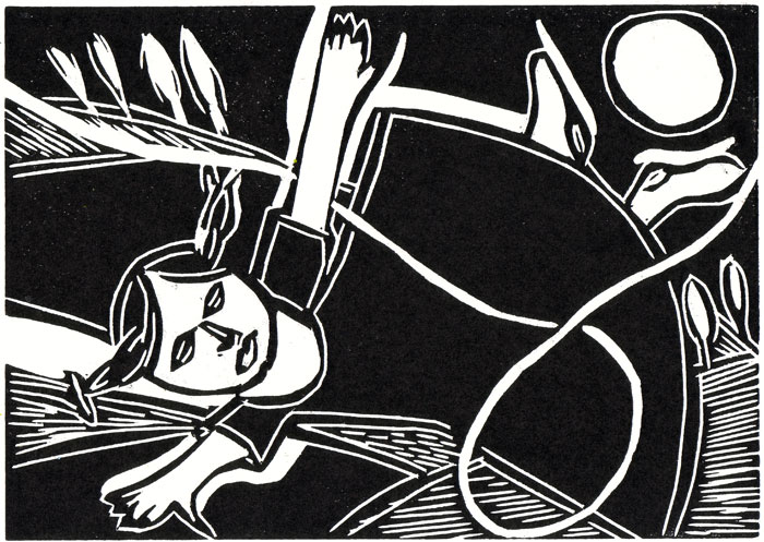 illustrazioni, volare con la fantasia di mirta caccaro